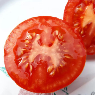 Tomate rouge Joffre