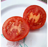 Tomate rouge Joffre
