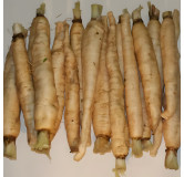 Chicorée Tête d'Anguille