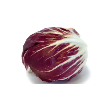 Chicorée Radicchio Chiogga Palla Rossa