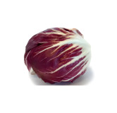 Chicorée Radicchio Chiogga Palla Rossa
