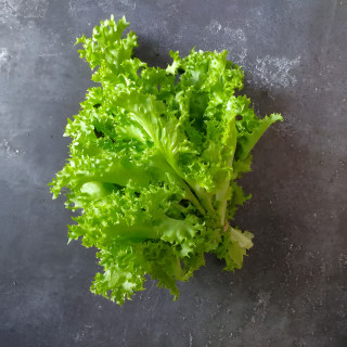 Chicorée frisée "Endivette"