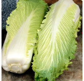 Chou Chinois Granaat