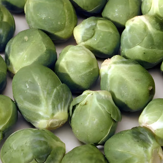 Chou de Bruxelles Groninger