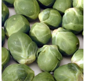 Chou de Bruxelles Groninger