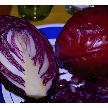 Chou cabus rouge Rodynda