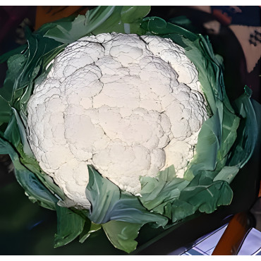 Chou-fleur Neckarperle