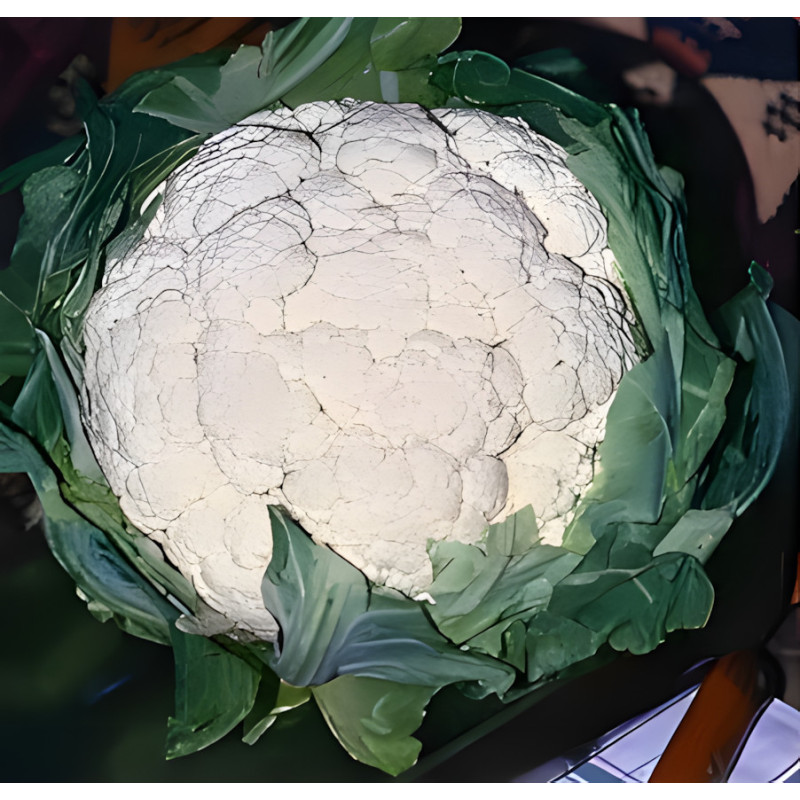 Chou-fleur Neckarperle