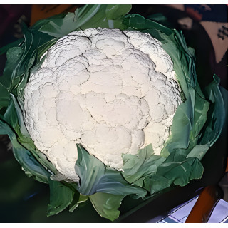 Chou-fleur Neckarperle