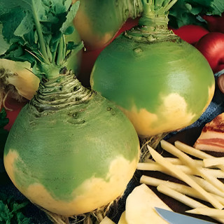 Chou-navet Wilhelmsburger jaune à collet vert