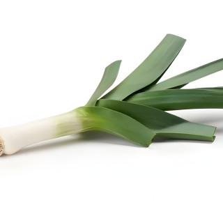 Poireau Gros vert de Huy