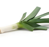 Poireau Gros vert de Huy