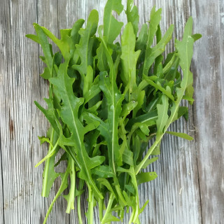 Roquette Dragon's Tong