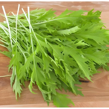 Salade asiatique Mizuna