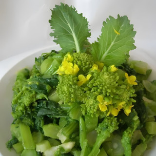 Navet-feuille cima de rapa