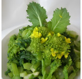 Navet-feuille cima de rapa