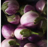 Aubergine Rotonda bianca sfumata di rosa