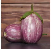 Aubergine Skoutari