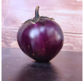 Aubergine Ronde de Valence