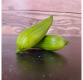 Concombre grimpant Cyclanthère