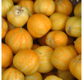 Concombre Lemon