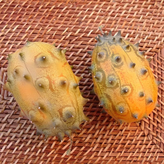 Concombre du Kenya Kiwano