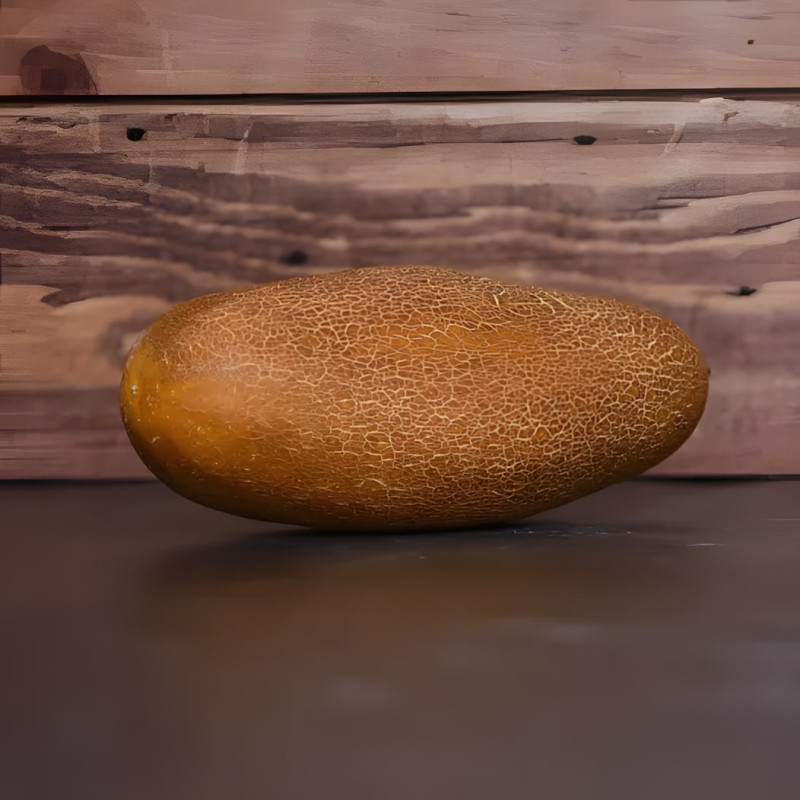 Concombre Kaiser Alexander