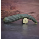 Concombre Melon Tortarello Barese