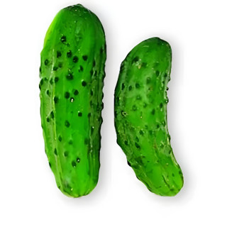 Cornichon Vert fin de Meaux