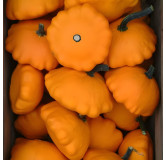 Pâtisson Orange