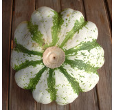 Pâtisson vert panaché de blanc