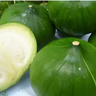 Potiron Zapallito del Tronco