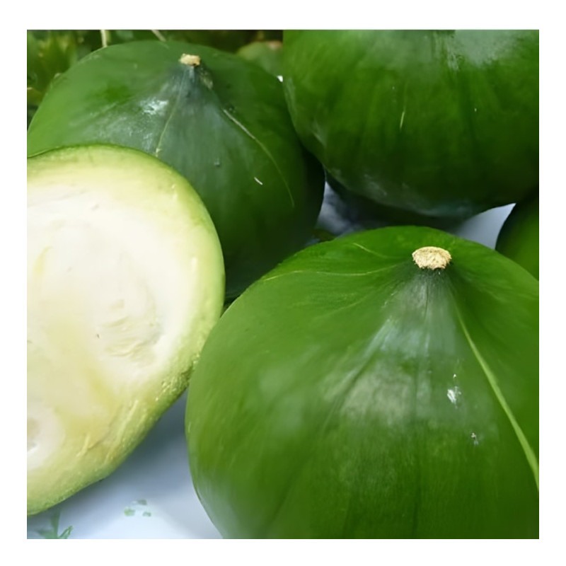 Potiron Zapallito del Tronco