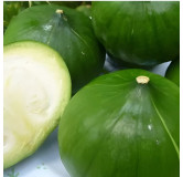 Potiron Zapallito del Tronco