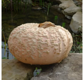 Potiron Galleux d'Eysines