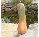 Courge musquée Longue de Nice