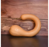 Courge musquée à Trompe d'Albenga