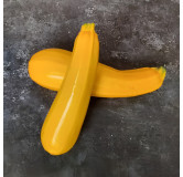 Courgette jaune "Gold Rush"