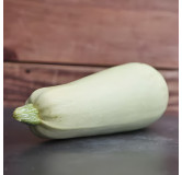 Courgette blanche d'Egypte