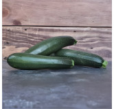Courgette Black Beauty