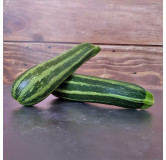 Courgette verte d'Italie