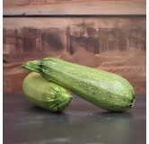 Courgette Petite Grise d'Alger