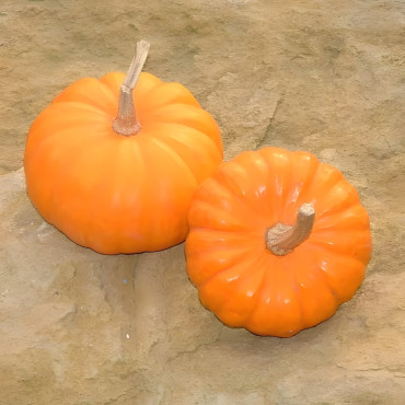 Courge Jack Be Little