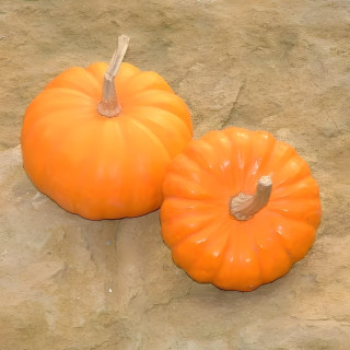 Courge Jack Be Little