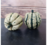Courge Patidou Sweet Dumpling