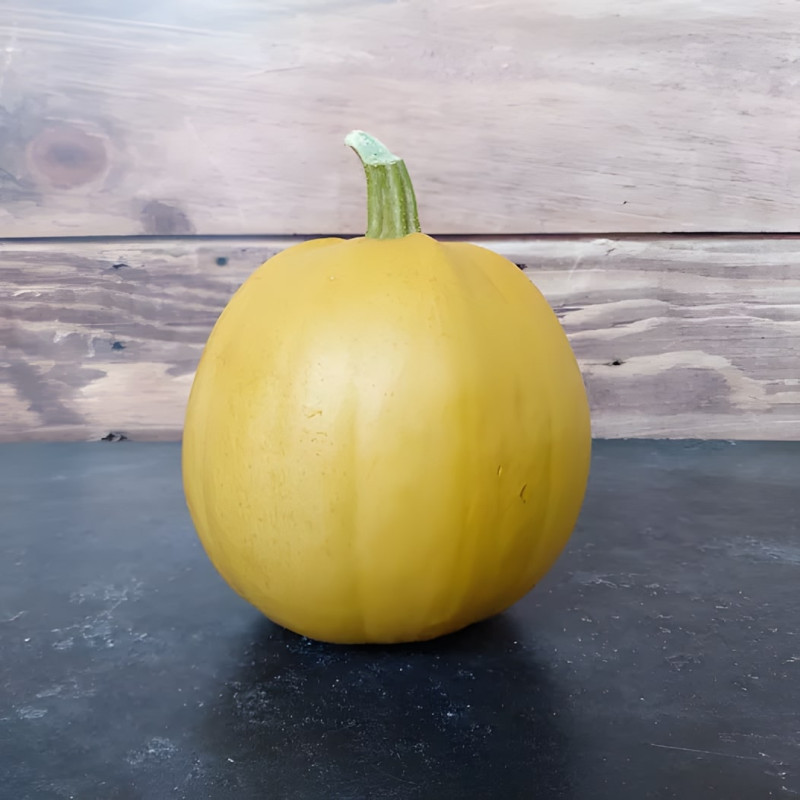 Courge Melonnette Jaspée de Vendée