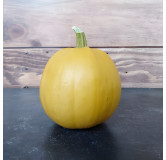 Courge Melonnette Jaspée de Vendée