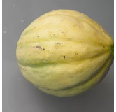 Melon Vieille France