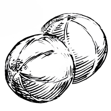 Melon de Lunéville