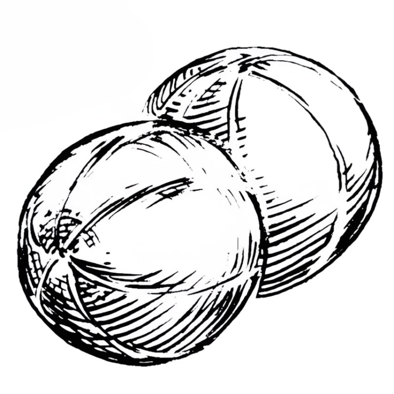 Melon de Lunéville